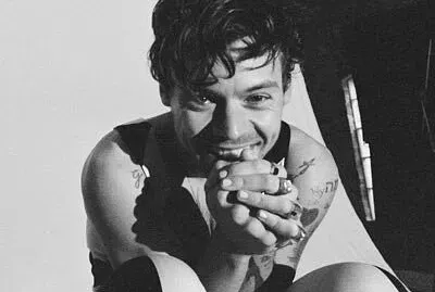 פאזל של HARRY GUAPO