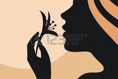 Silvergirl jigsaw puzzle