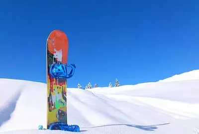 Toy