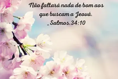 texto