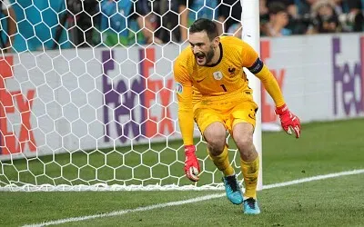 Lloris jigsaw puzzle