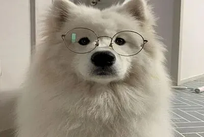 פאזל של prueba