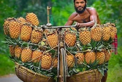 frutas