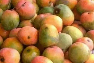 Mangos jigsaw puzzle