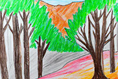 Colorful Pencil Drawing of a Forest