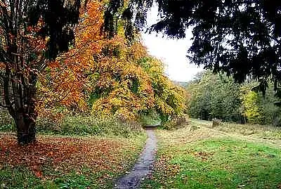 Autumn at Cromford