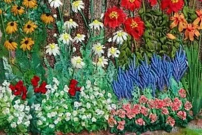 Flores