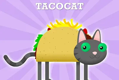 tacocat