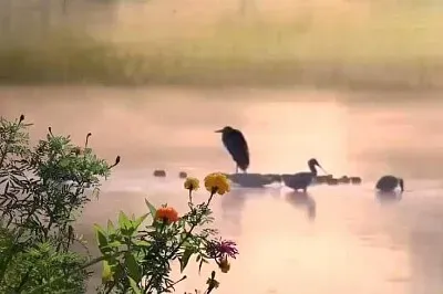 風景