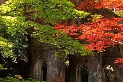 imagem jigsaw puzzle