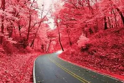 imagem jigsaw puzzle