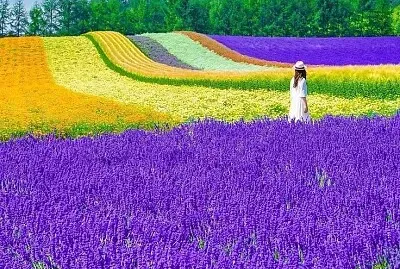 imagem jigsaw puzzle