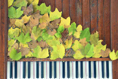 Piano made of leaves