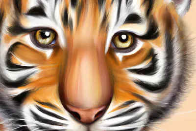 Cute Tiger Portrait