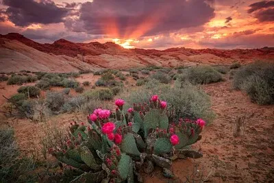 imagem jigsaw puzzle