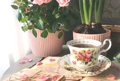 taza