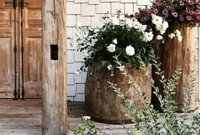 flores