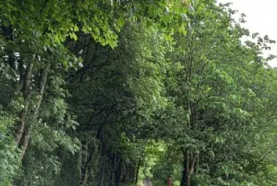 Tunel