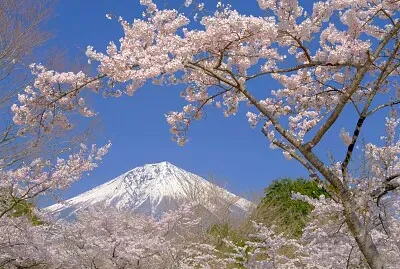 imagem jigsaw puzzle