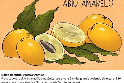 Conhecendo alguns frutos da nossa região