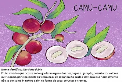 Frutos típicos da região Amazônica jigsaw puzzle