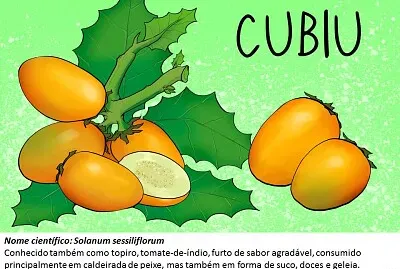 Frutos típicos da região Amazônica jigsaw puzzle