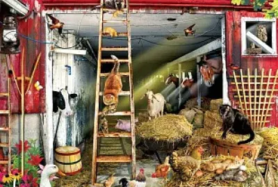 GRANJA jigsaw puzzle
