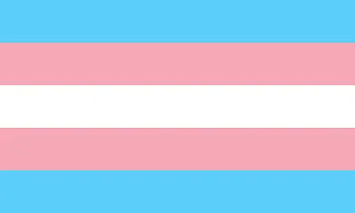 Transgender Flag