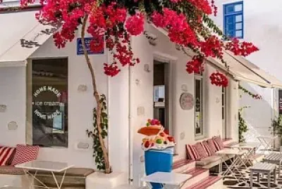 Terraza-buganvilla jigsaw puzzle