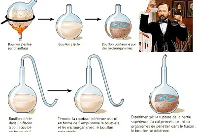 LOUIS PASTEUR
