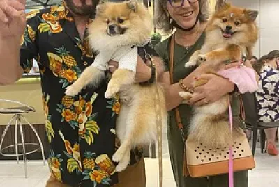 moradia jigsaw puzzle