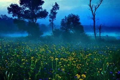 paysage