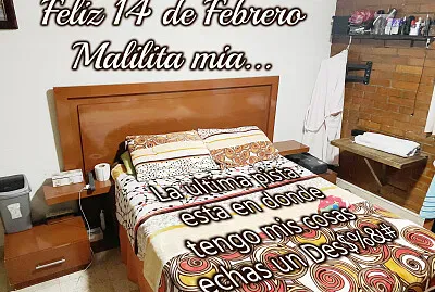 14 febrero