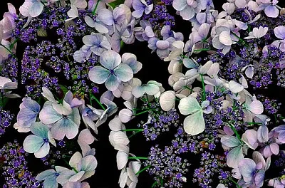 OK jigsaw puzzle