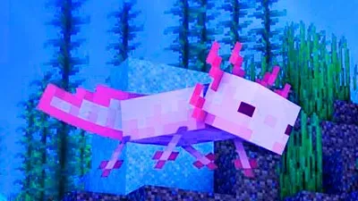 ajo jigsaw puzzle