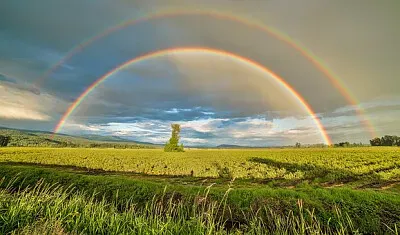 Foto jigsaw puzzle