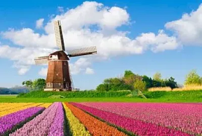 flores y molino jigsaw puzzle