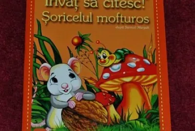 mouse