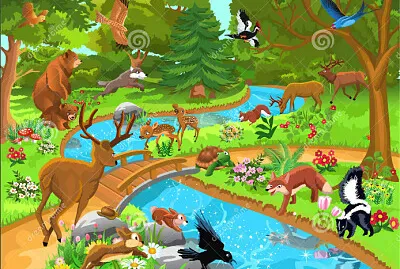 Organismos autótrofos y heterótrofos