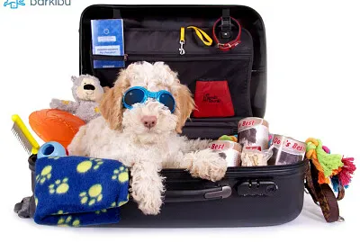 perro maleta