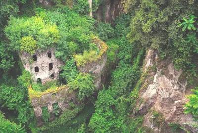 Devorado por la naturaleza