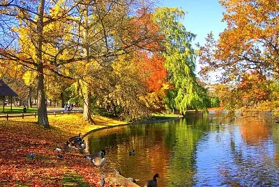 Bonjour l 'automne