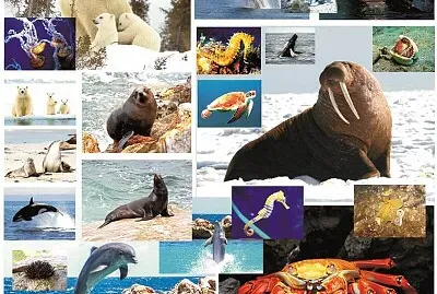 animals jigsaw puzzle