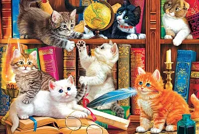 Chatons a la bibliotheque jigsaw puzzle