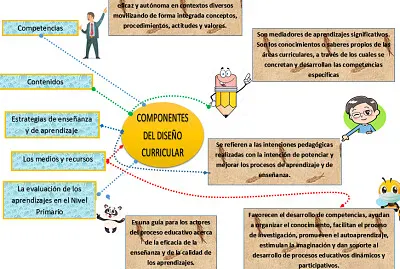 Componentes del Diseño Curricular (Nivel Primario)