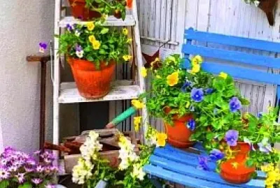 flores jigsaw puzzle