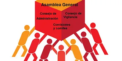 Organiza a tu cooperativa jigsaw puzzle