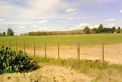 Campo y Paisaje