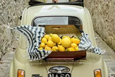 alimentos jigsaw puzzle