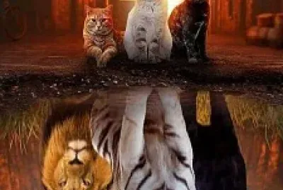 GATITOS